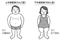 糖尿病は「腹やせ」で治せ!│肥満タイプ│福田正博